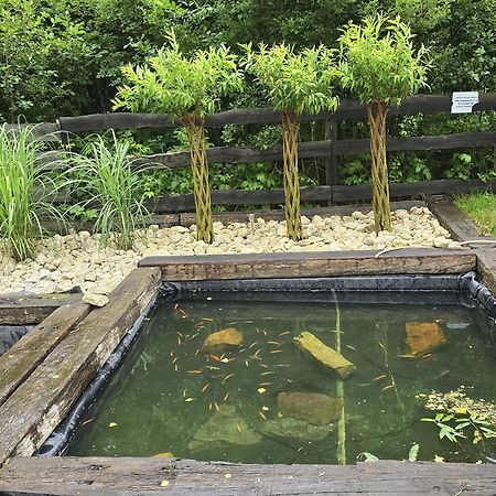 Vip Village Las Woda Rower - Podgrzewany Basen, Balia, Sauna Miedzierza 외부 사진